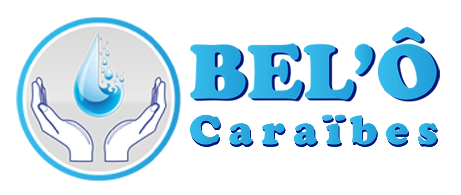 logo belo site internet