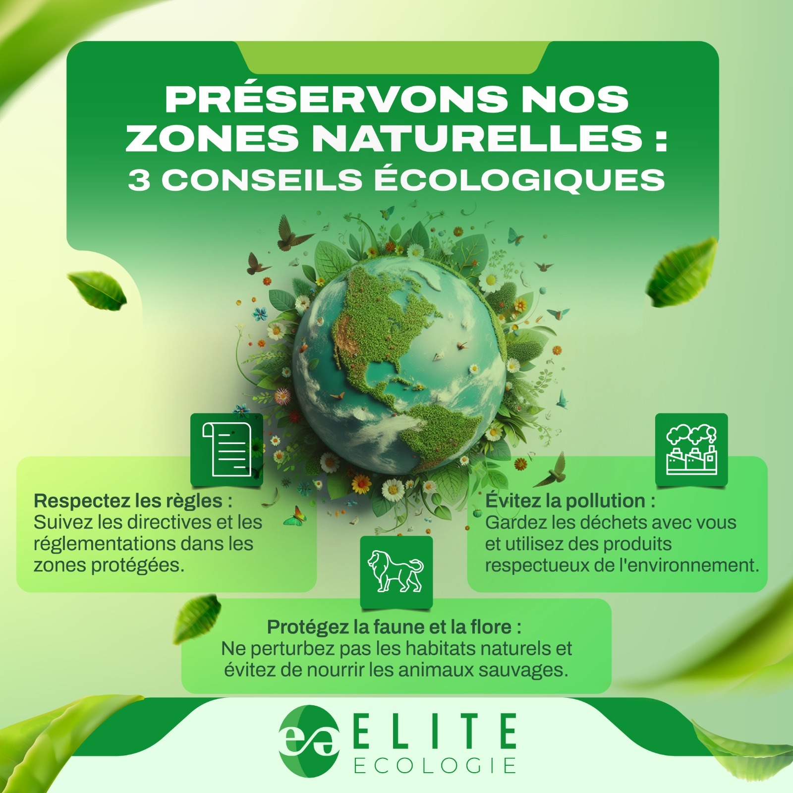 WhatsApp Image 2025-02-11 at 22.20.22 (2)